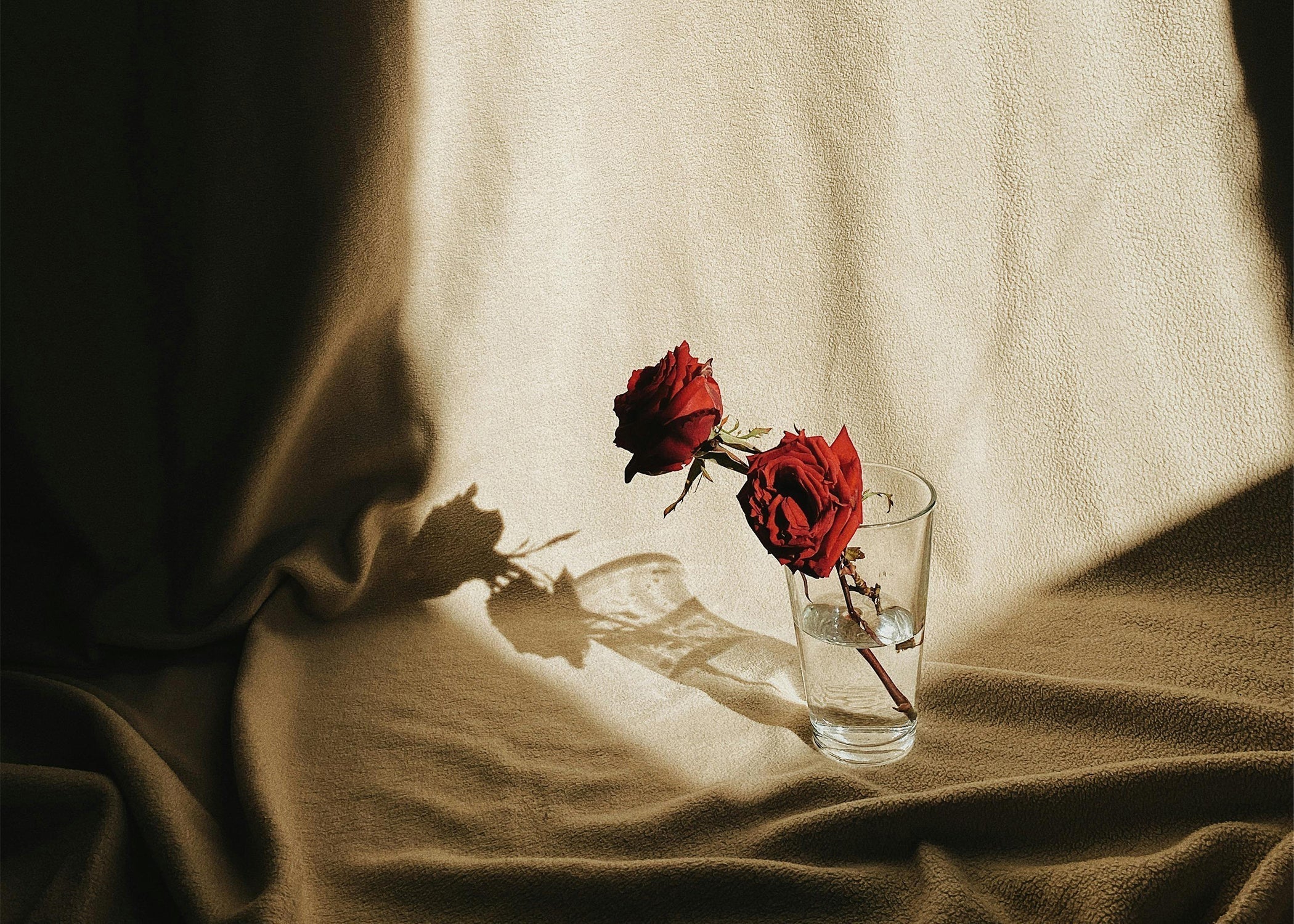 Valentine’s Day Loves the Show. Skin Loves Consistency.